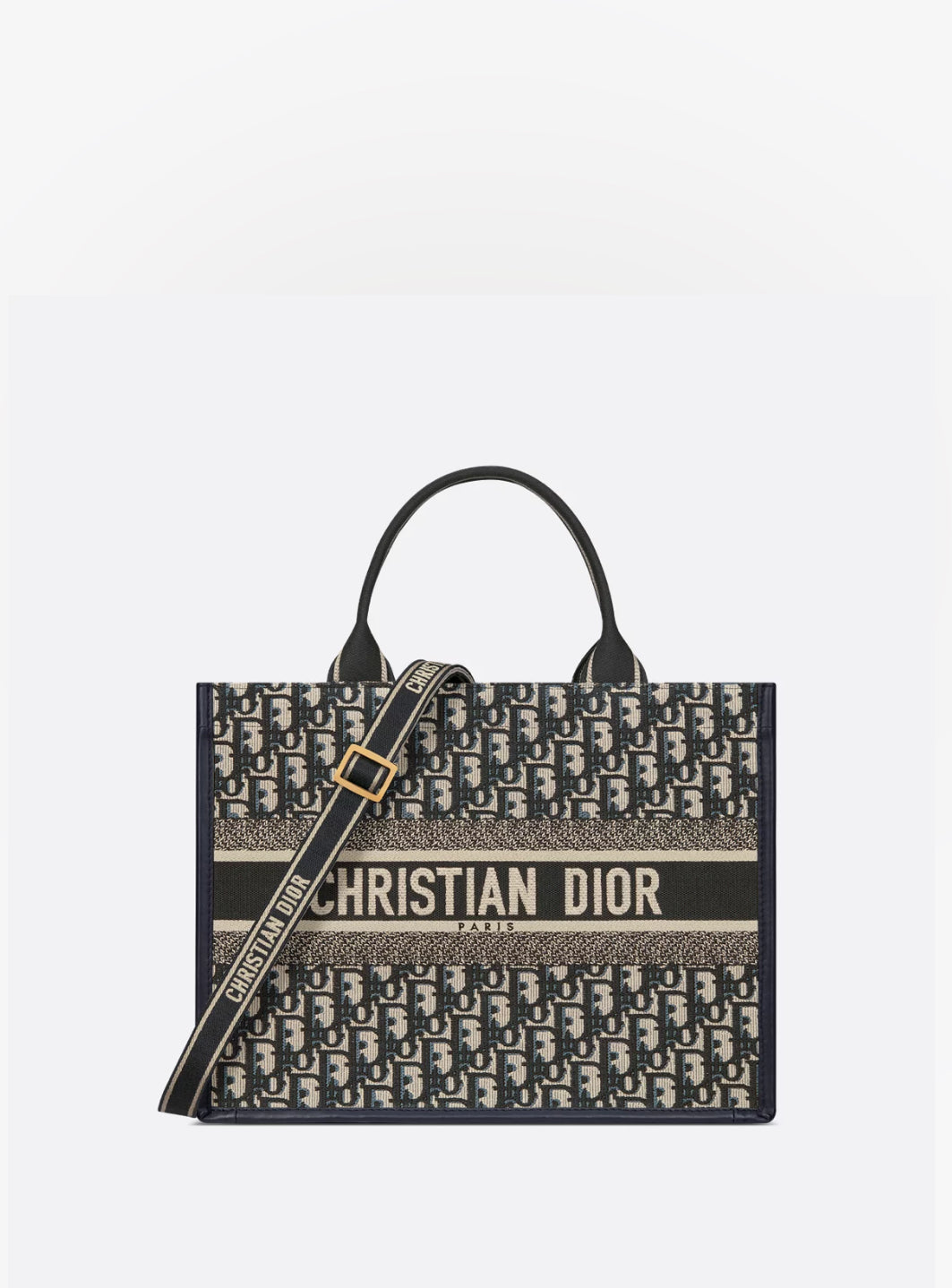 中碼 Dior Book Tote