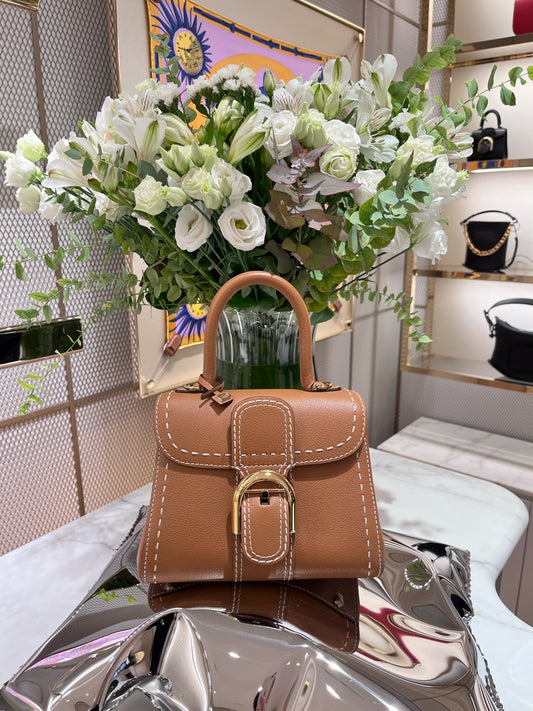 Delvaux Brillant Mini Surpique Rodeo Calf